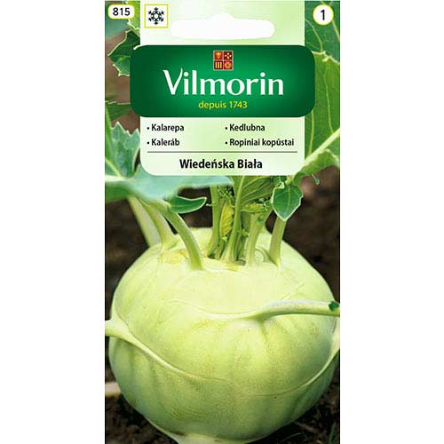 1 szt, Kalarepa Wiedeńska Biała Vilmorin - Nasiona: Ilość w opakowaniu: 2 g