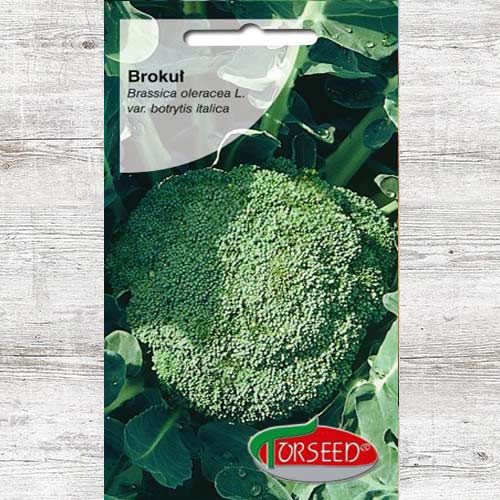 1 szt, Brokuł włoski Calabrese natalino, nasiona - Nasiona: Ilość w opakowaniu: 1 g