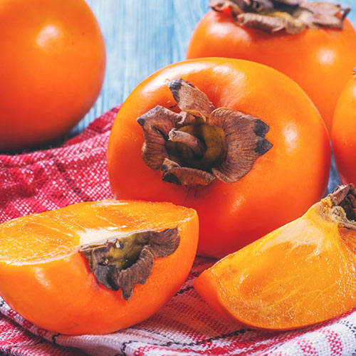 1 sadz, Kaki (Hurma wschodnia) Chocolate - Sadzonki: Ilość w opakowaniu: 1 sadz