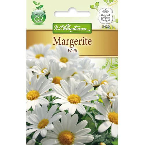 Złocień (Margaretka) White - Nasiona. Ilość w opakowaniu: 1 opak - GradinaMax