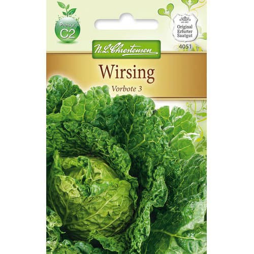 Kapusta Vorbote 3 - Nasiona: Ilość w opakowaniu: 1 opak - GradinaMax