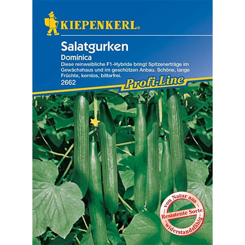 Ogórek sałatkowy Dominica F1 - Nasiona. Ilość w opakowaniu: 1 opak - GradinaMax
