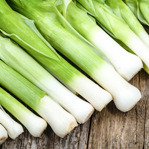 1 szt, Cebula por Elefant - Nasiona: Ilość w opakowaniu: 500 szt.