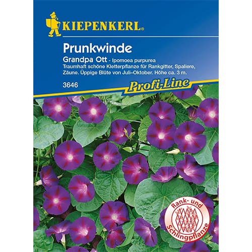 Wilec (Ipomoea) Grandpa Ott - Nasiona. Ilość w opakowaniu: 1 opak - GradinaMax