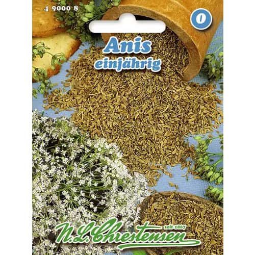 Biedrzeniec anyż - Nasiona. Ilość w opakowaniu: 1 opak - GradinaMax