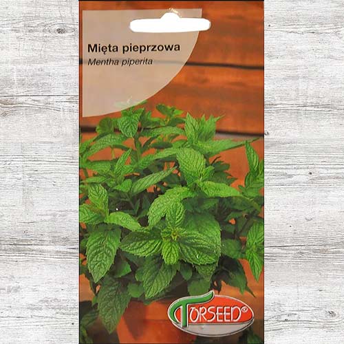 1 szt, Nasiona Mięta - Nasiona: Ilość w opakowaniu: 0.1 g