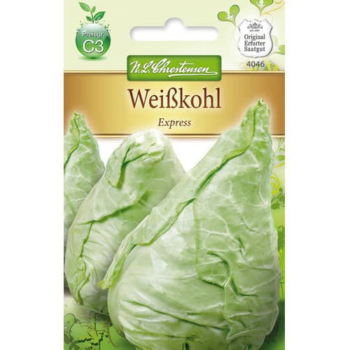 Kapusta biała Express - Nasiona. Ilość w opakowaniu: 1 opak - GradinaMax