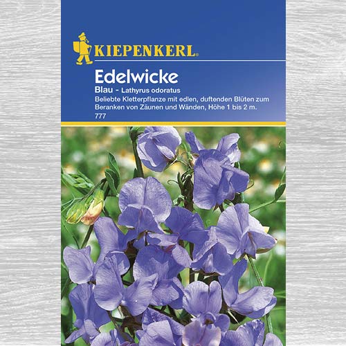 1 szt, Groszek pachnący niebieski - Nasiona: Ilość w opakowaniu: 1 opak