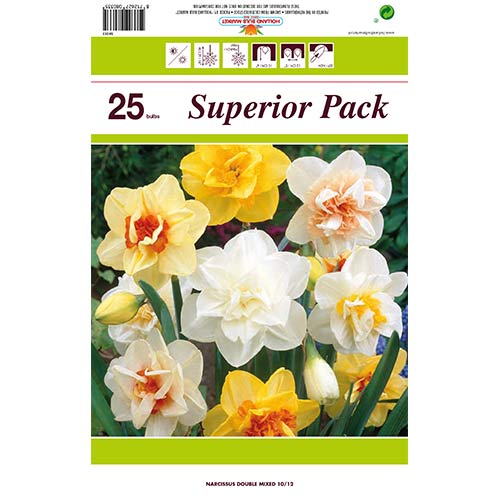 25 szt., Super oferta! Narcyz pełny mix kolorów, zestaw 25 cebul - Cebule: Ilość w opakowaniu: 25 szt.