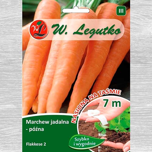 1 szt, Marchew Flakkese 2 - Nasiona: Ilość w opakowaniu: 400 szt