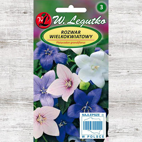 1 szt, Rozwar wielkokwiatowy (Platykodon), mieszanka Legutko - Nasiona: Ilość w opakowaniu: 0.1 g