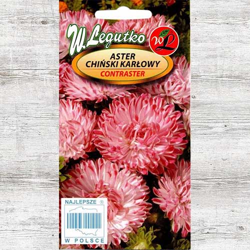1 szt, Aster chiński karłowy Contraster różowo-biały Legutko - Nasiona: Ilość w opakowaniu: 0.5 g
