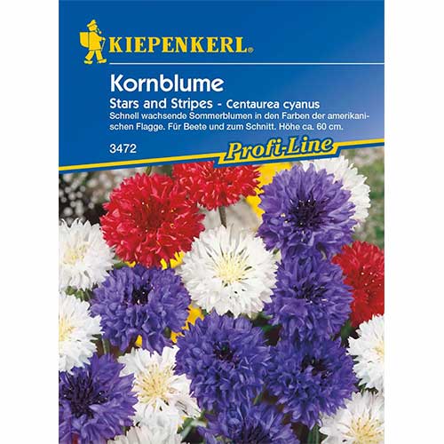 1 szt, Chaber bławatek Stars And Stripes Kiepenkerl - Nasiona: Ilość w opakowaniu: 1 opak