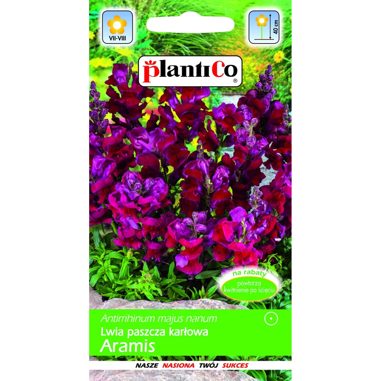 Lwia paszcza karłowa czerwona Aramis 0,5 g