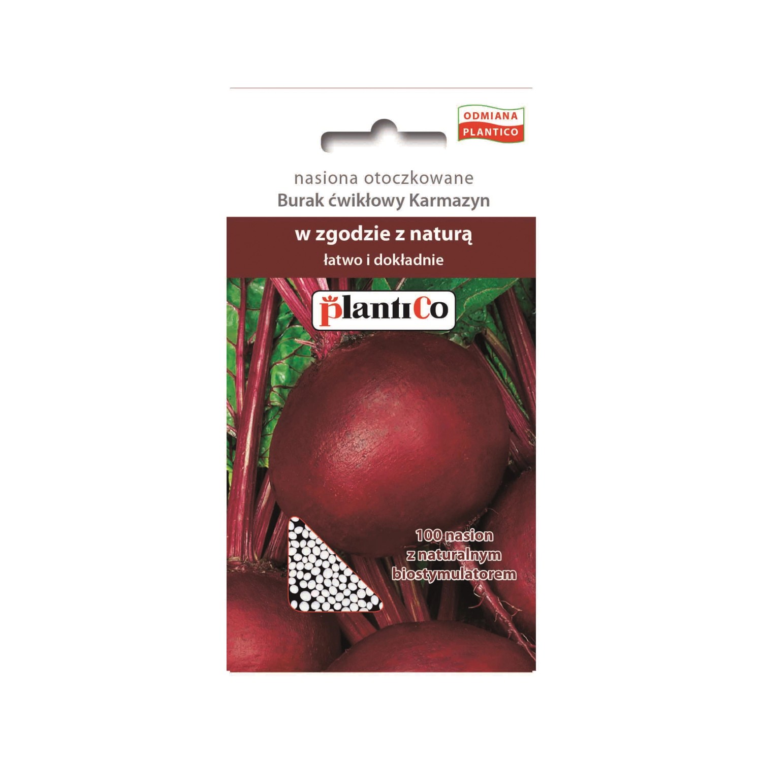 Burak ćwikłowy Karmazyn otoczkowana