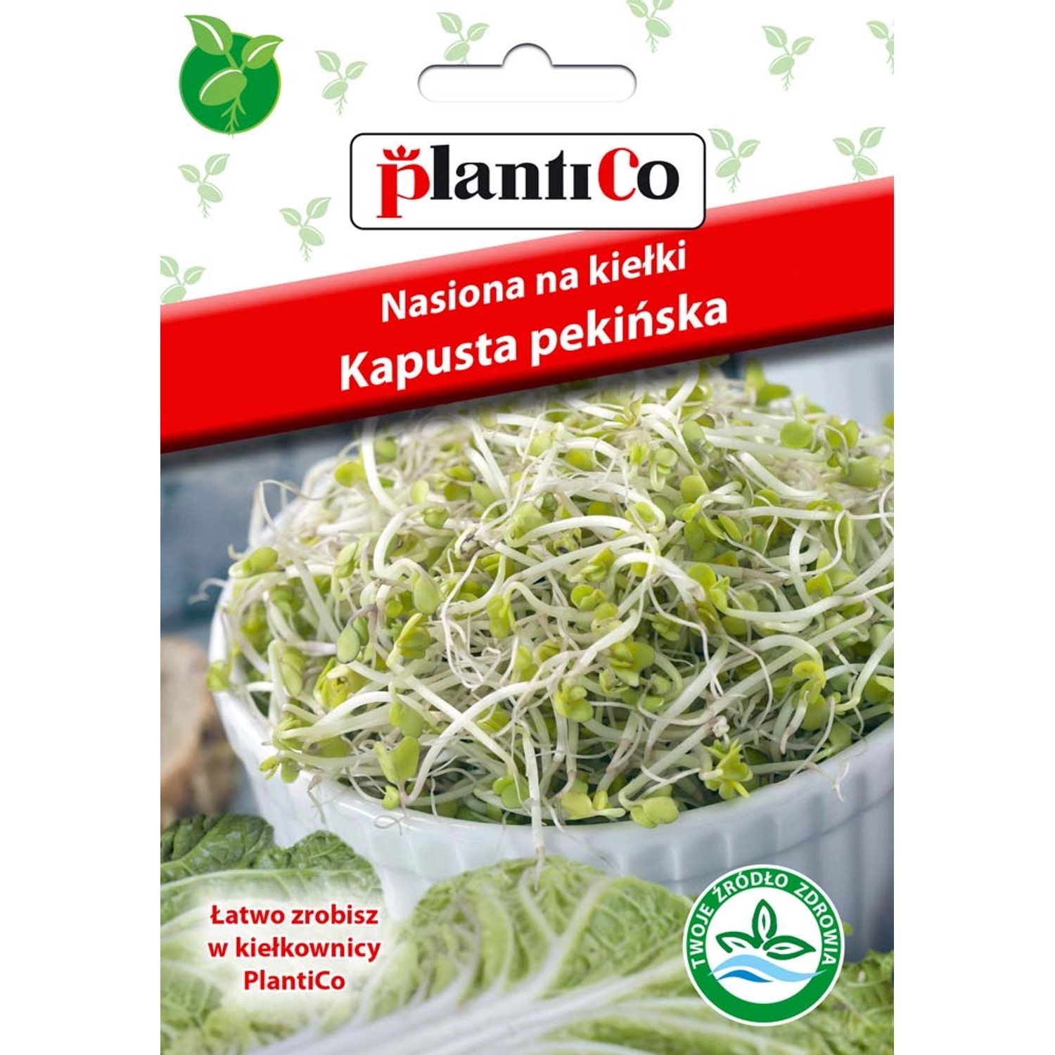 Kapusta pekińska nasiona na kiełki - 15 g