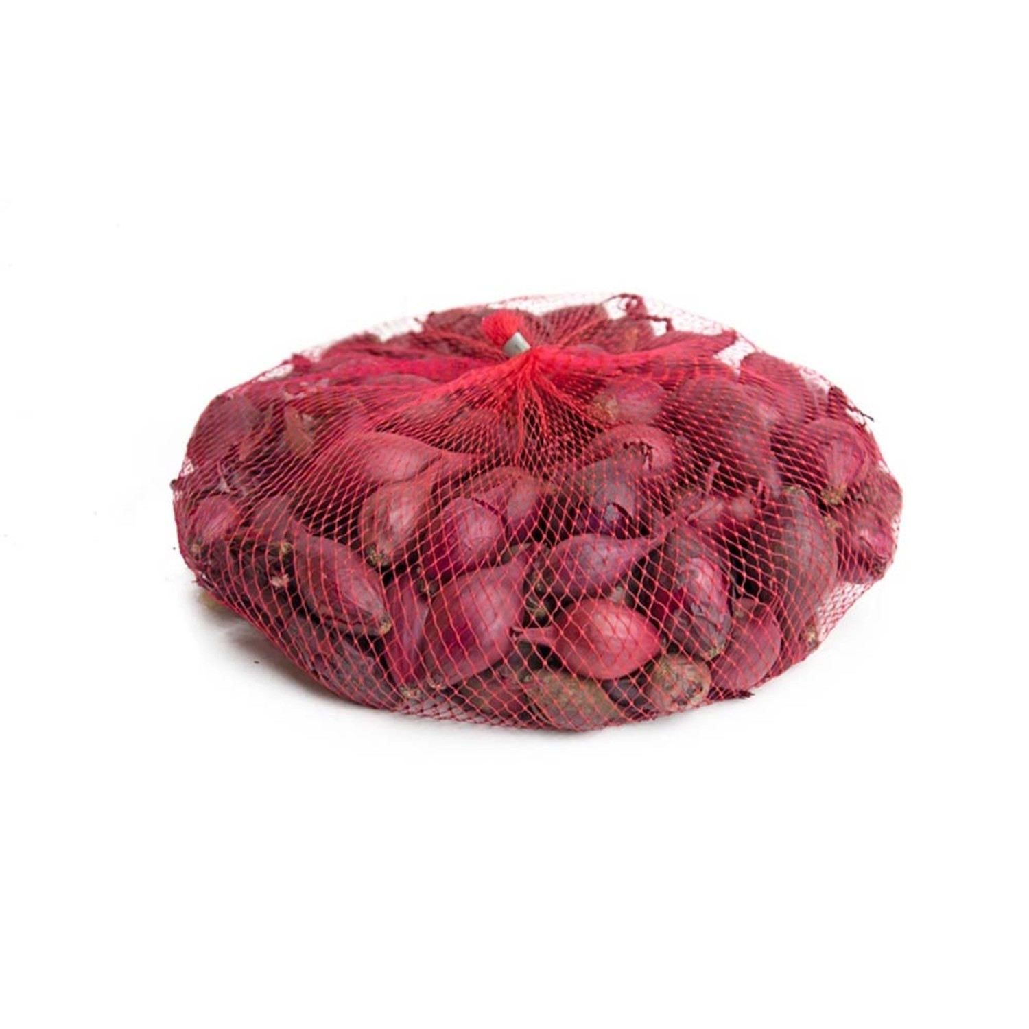 Cebula dymka (Allium cepa) Radar - 250 g