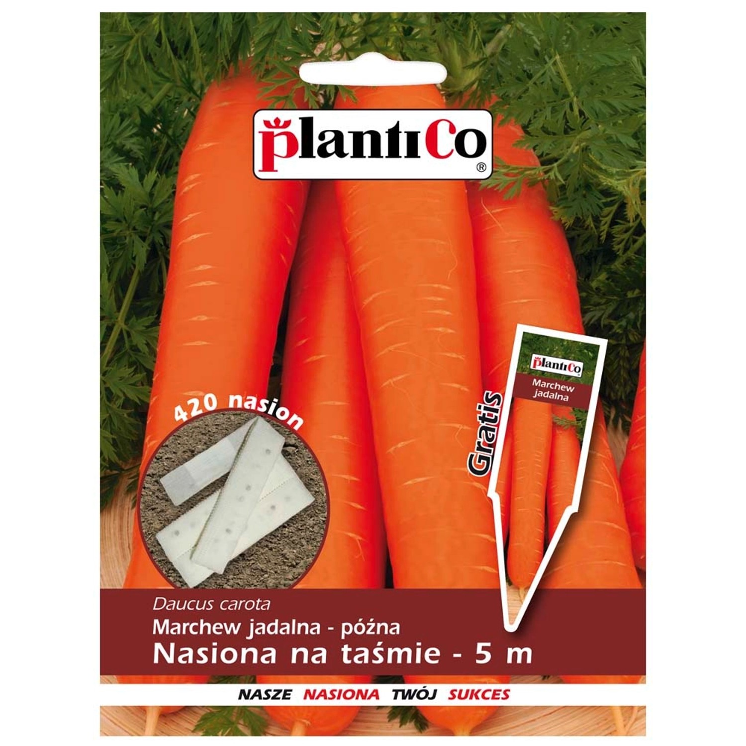 Marchew późna - nasiona na 5 m taśmie