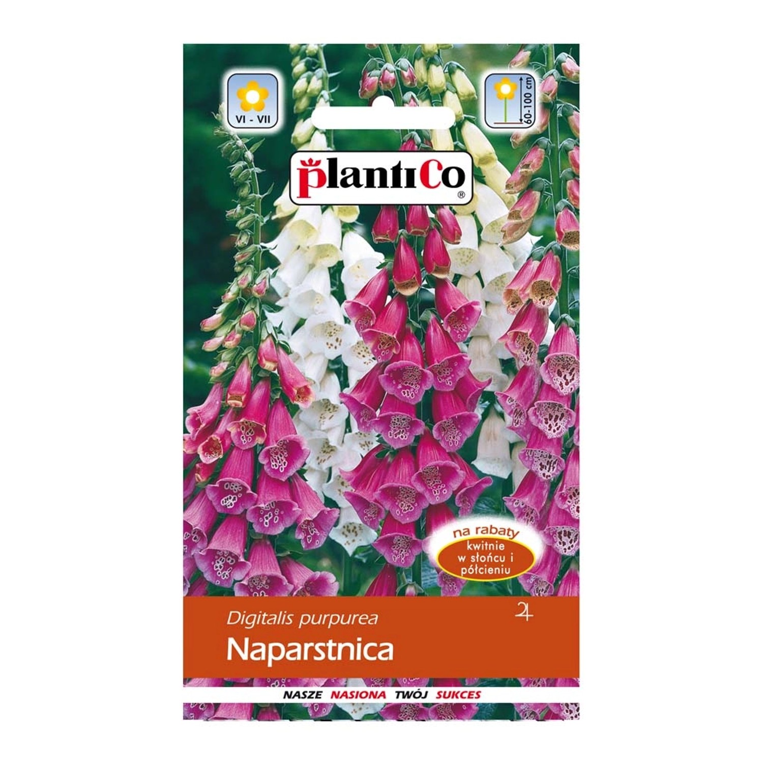 Naparstnica purpurowa mix