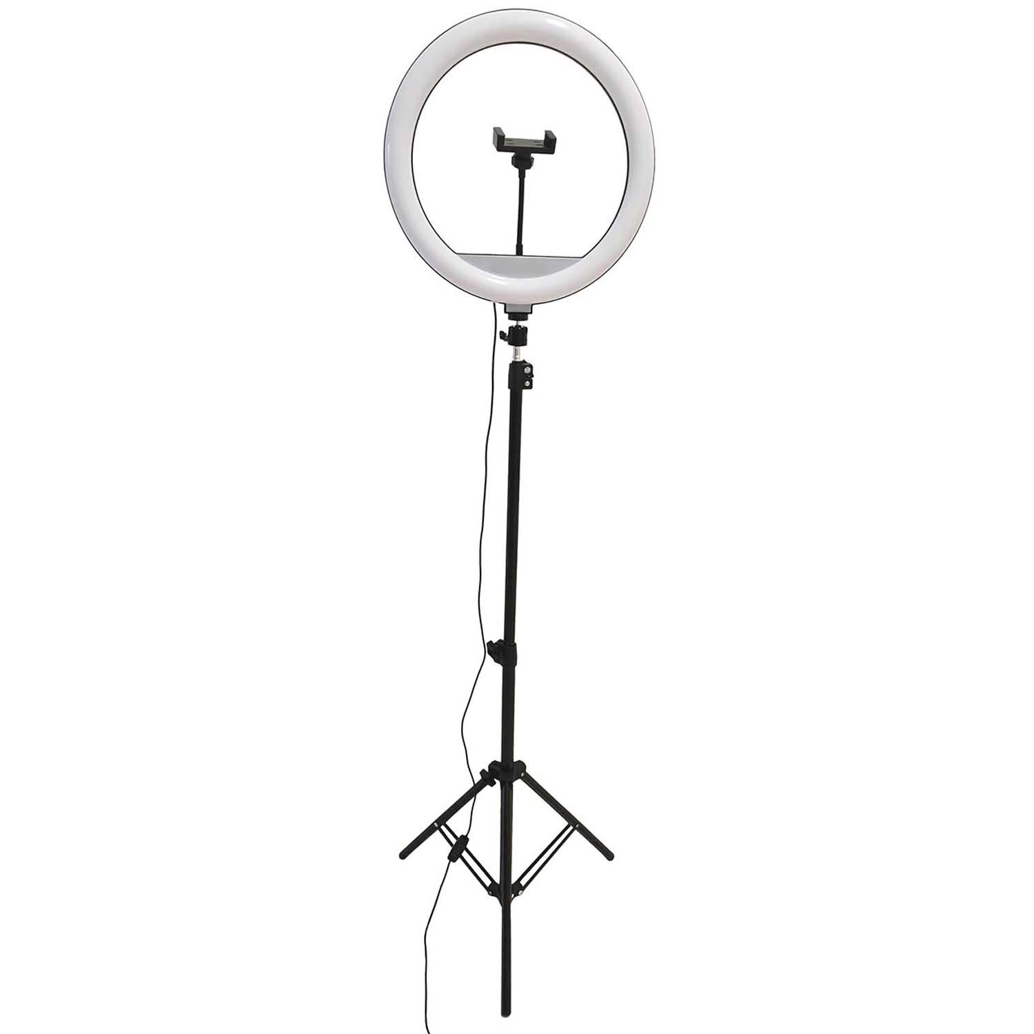 Goldlux Lampa LED SELFIE USB 15W 2700/4000/6500K 330lm śr. 36cm