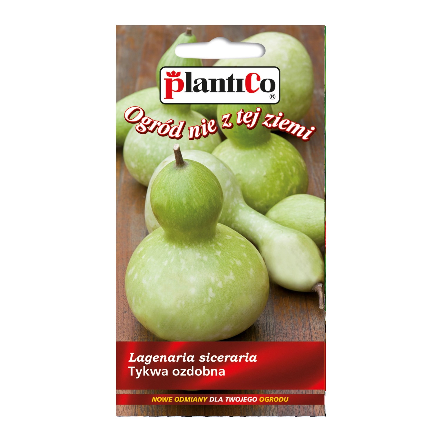 Dynia ozdobna butelkowa - 1 g