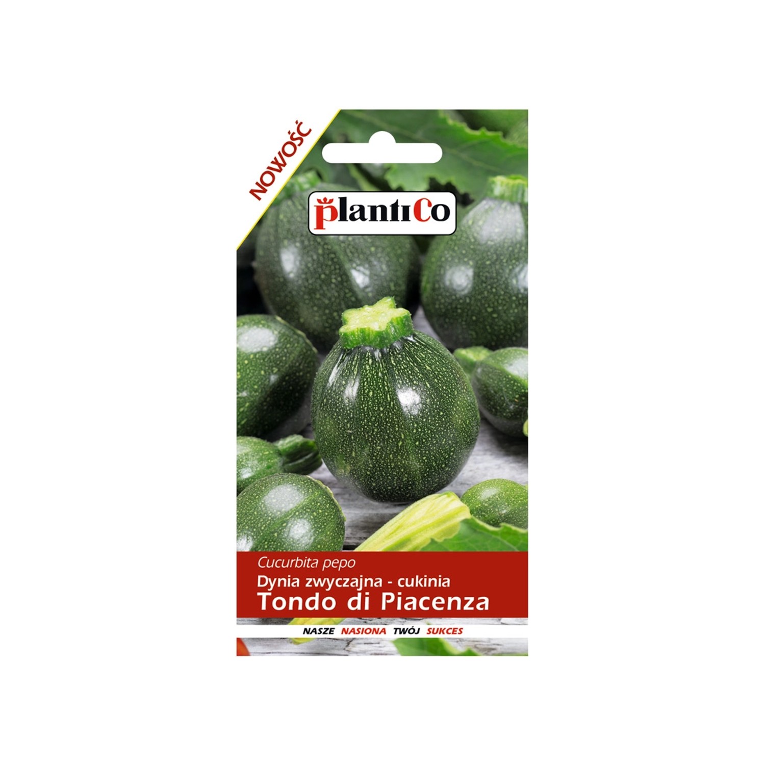 PlantiCo Dynia zwyczajna - cukinia Tondo di Piacenza 2g