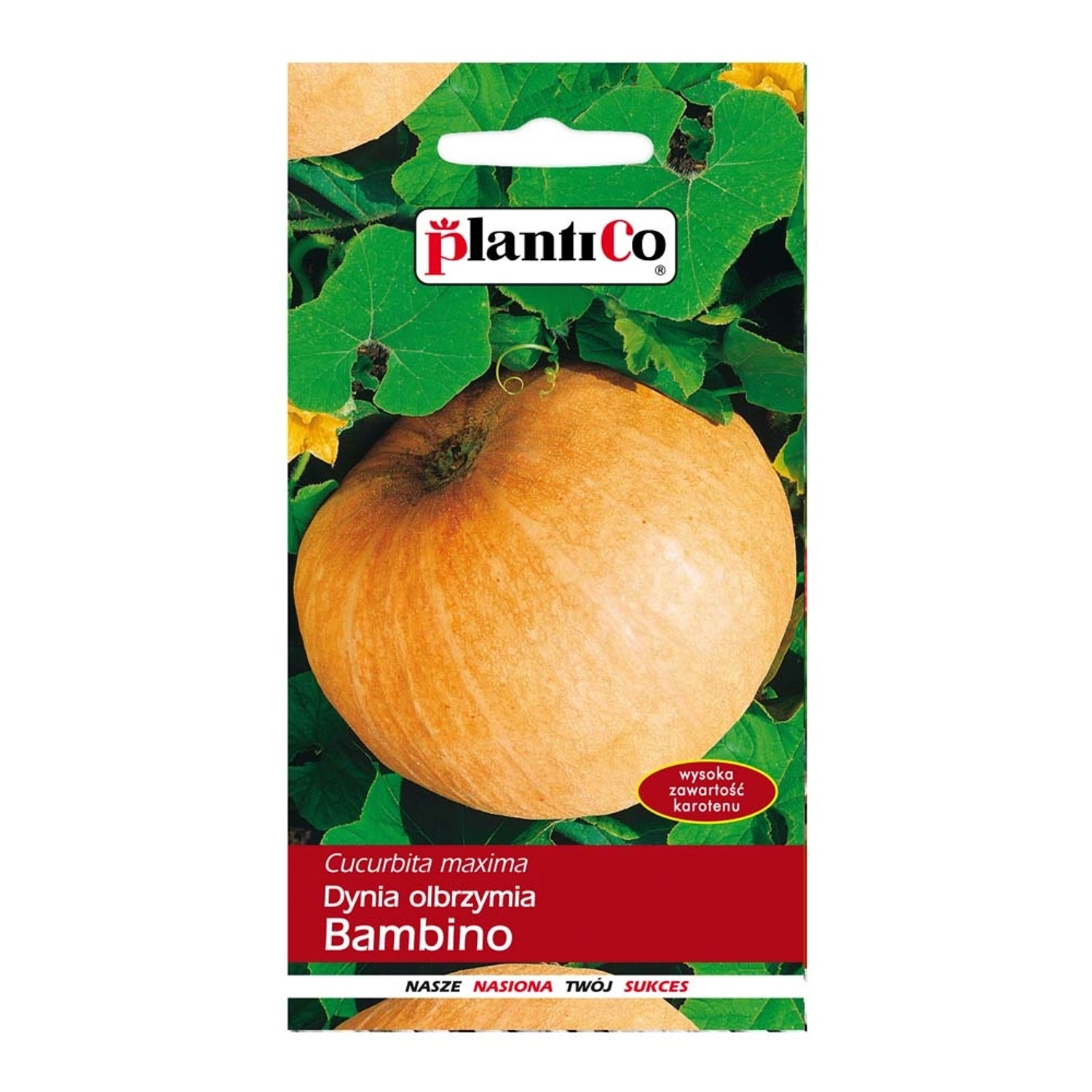 Dynia olbrzymia Bambino - 5 g