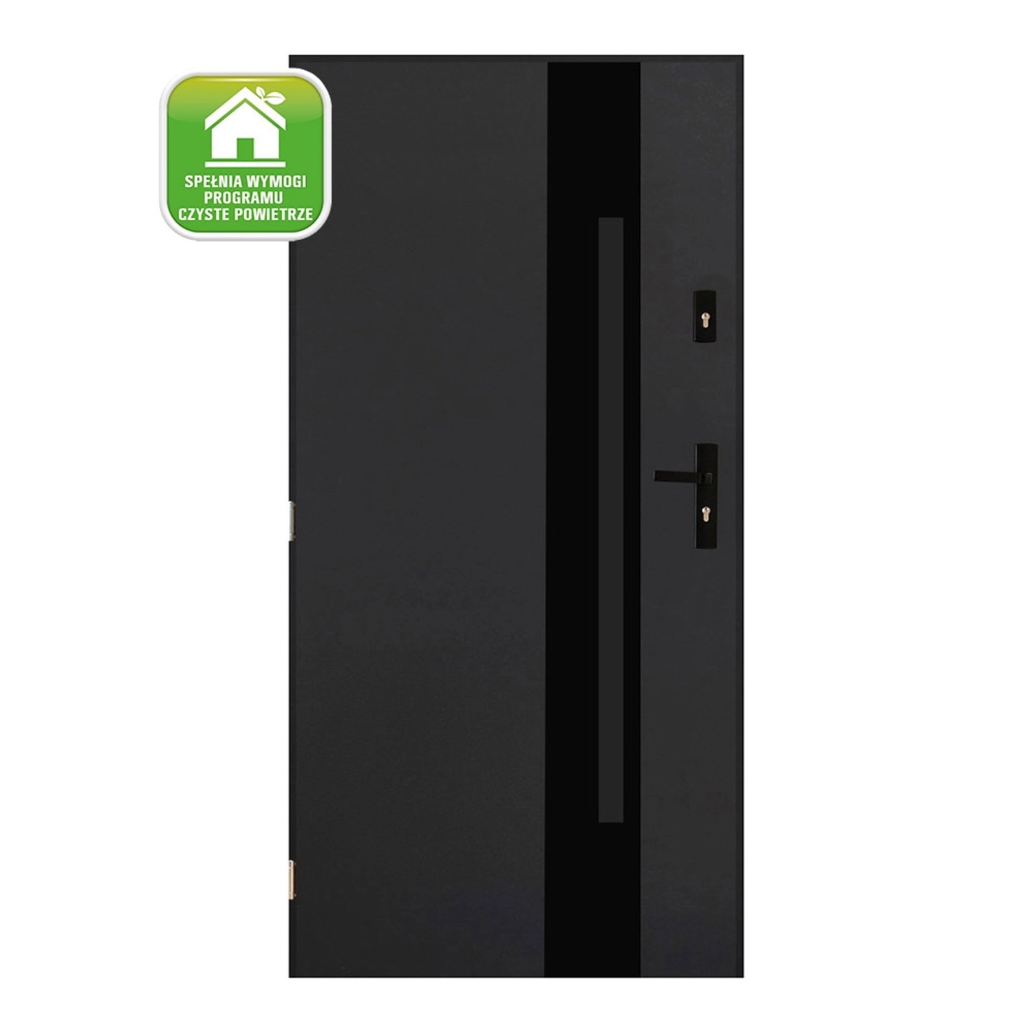 Pantor Drzwi zewnętrzne Madera 2 antracyt 90L