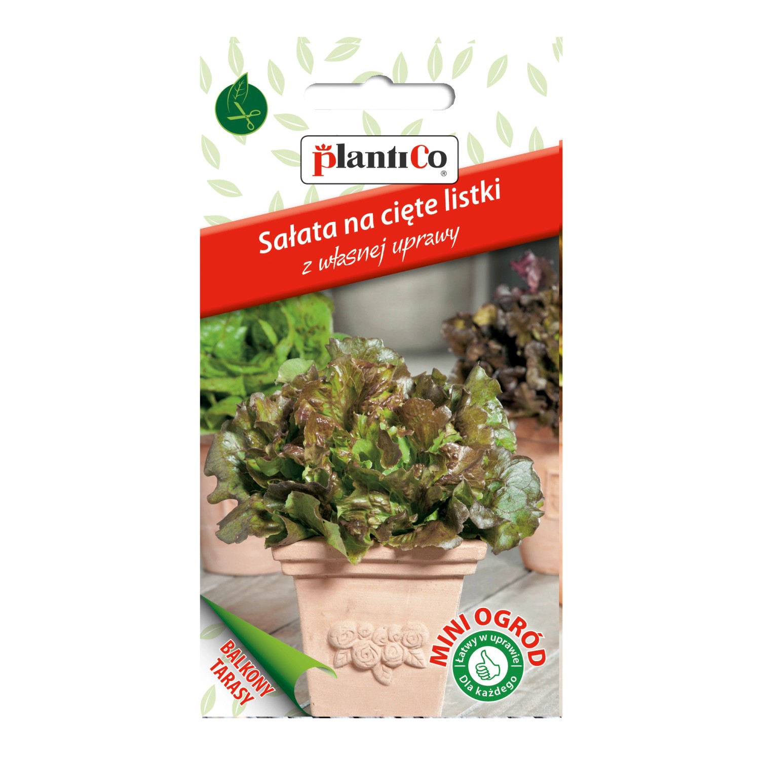 Sałata kędzierzawa czerwona - 1 g