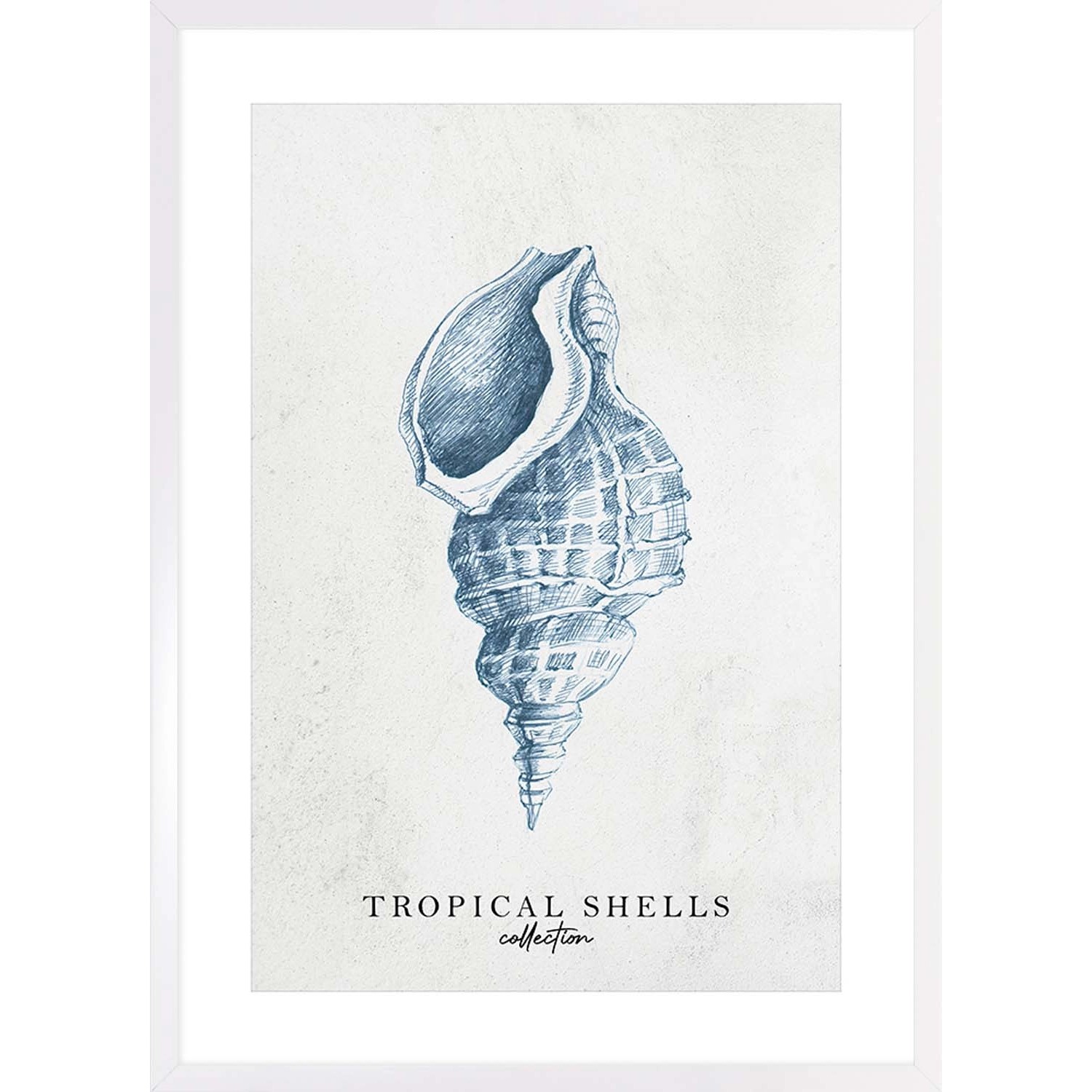 ARS LONGA Obraz TROPICAL SHELLS no.1 53 x 73 cm