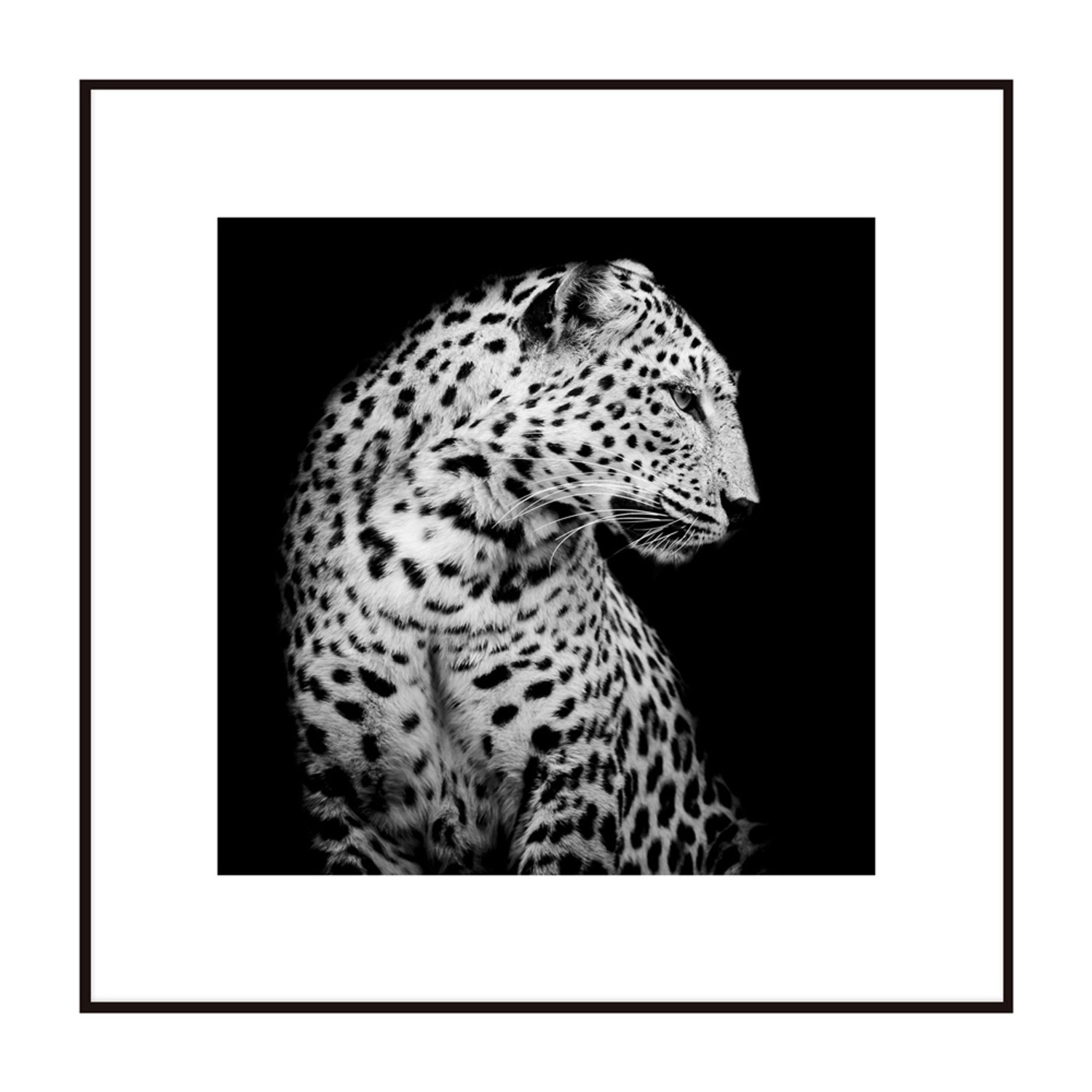 Obraz Artbox LEOPARD 50 cm x 50 cm