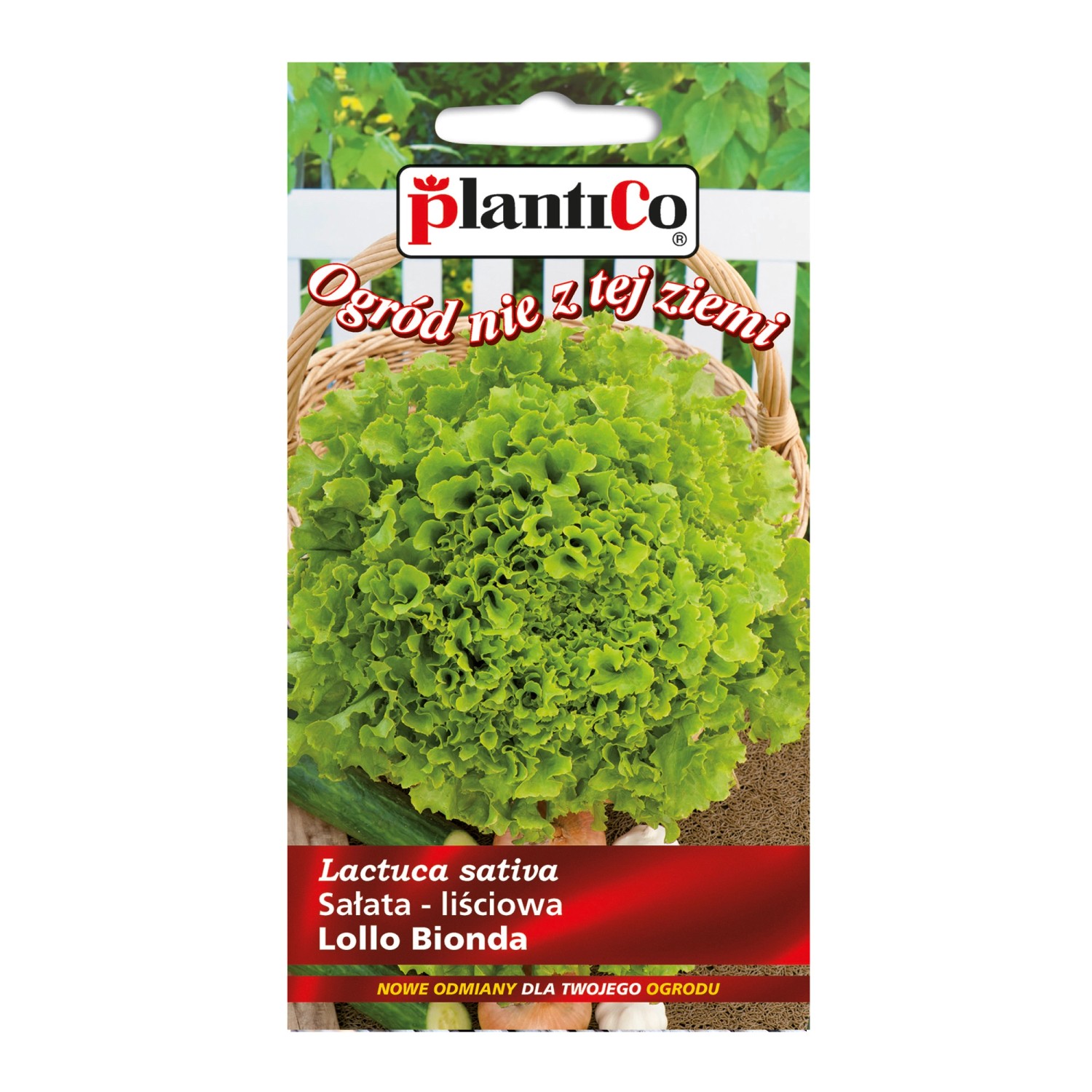 Sałata typ Lollo Bionda - 0,2 g