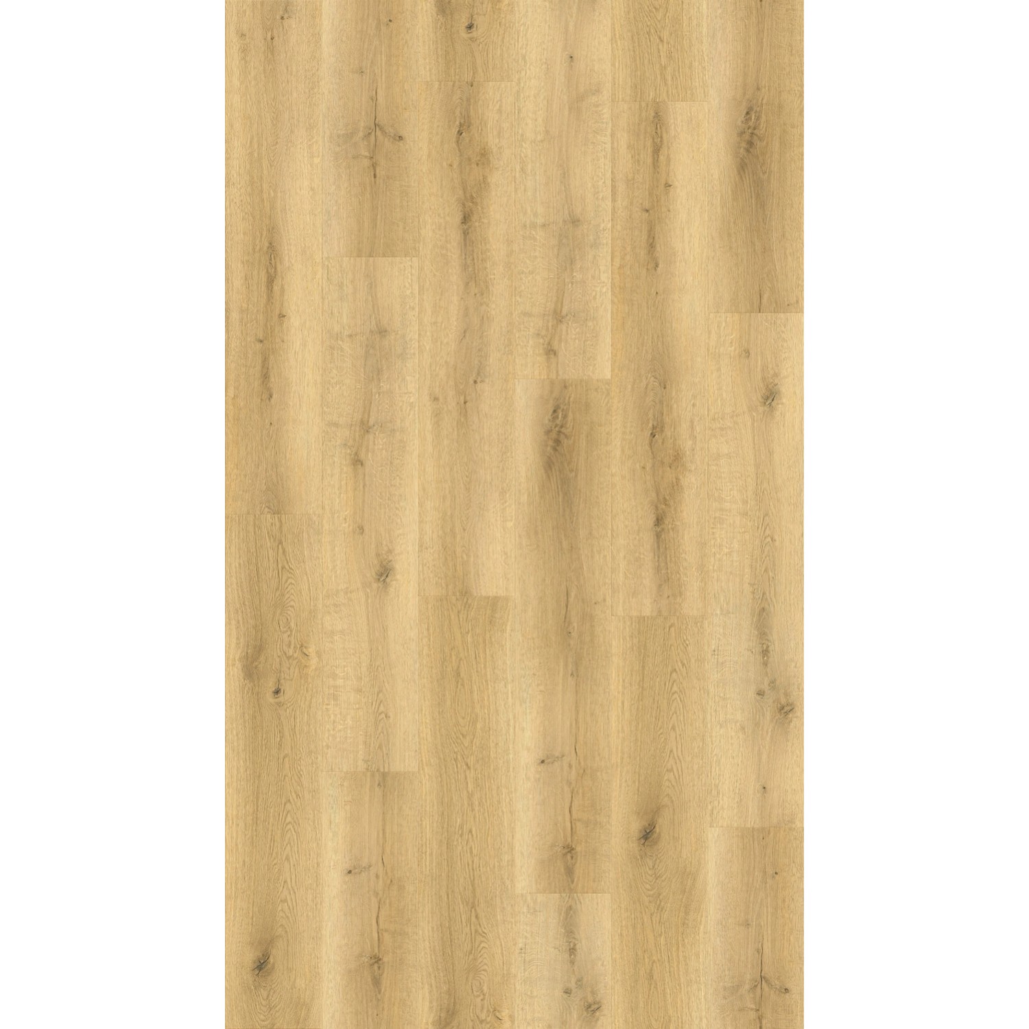 Panel winylowy Dąb Bergen ze zintegrowanym podkładem korkowym 6+1mm podkład