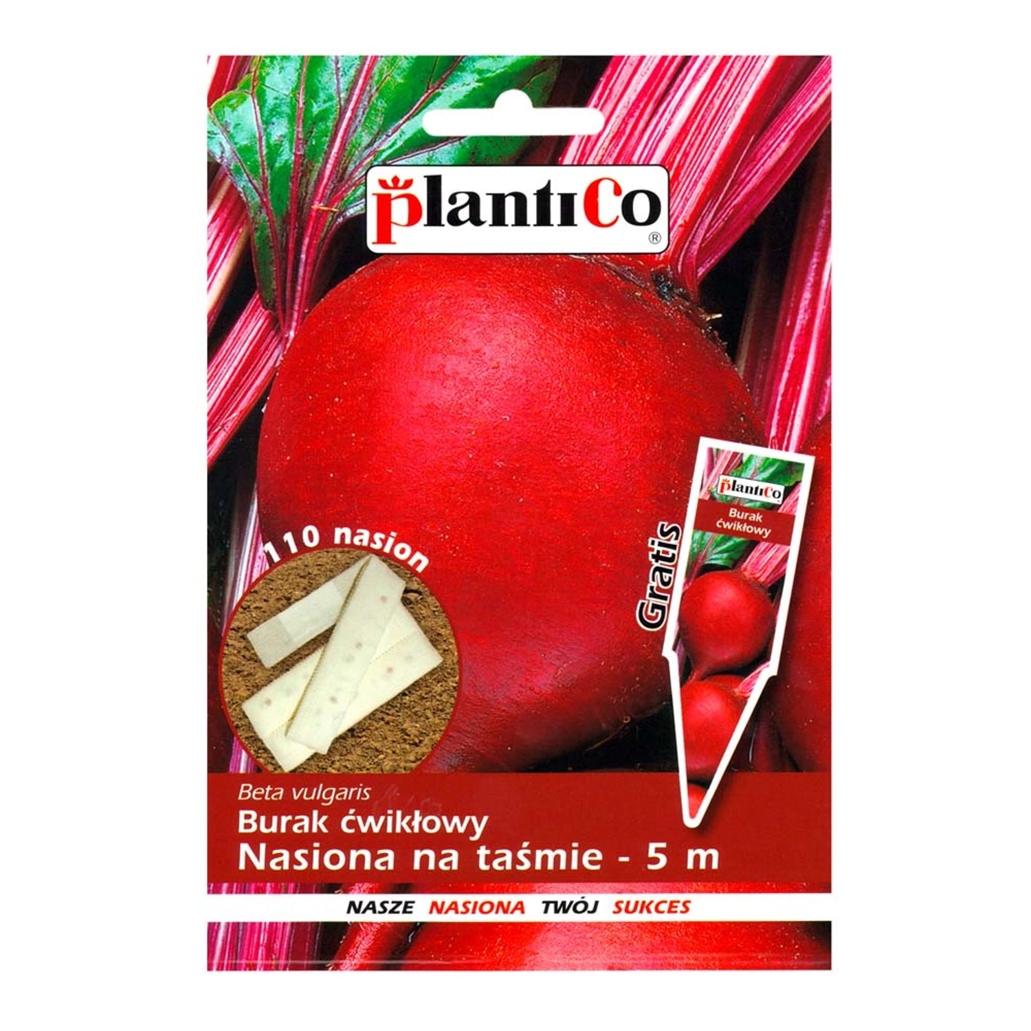 Burak ćwikłowy - nasiona na 5 m taśmie