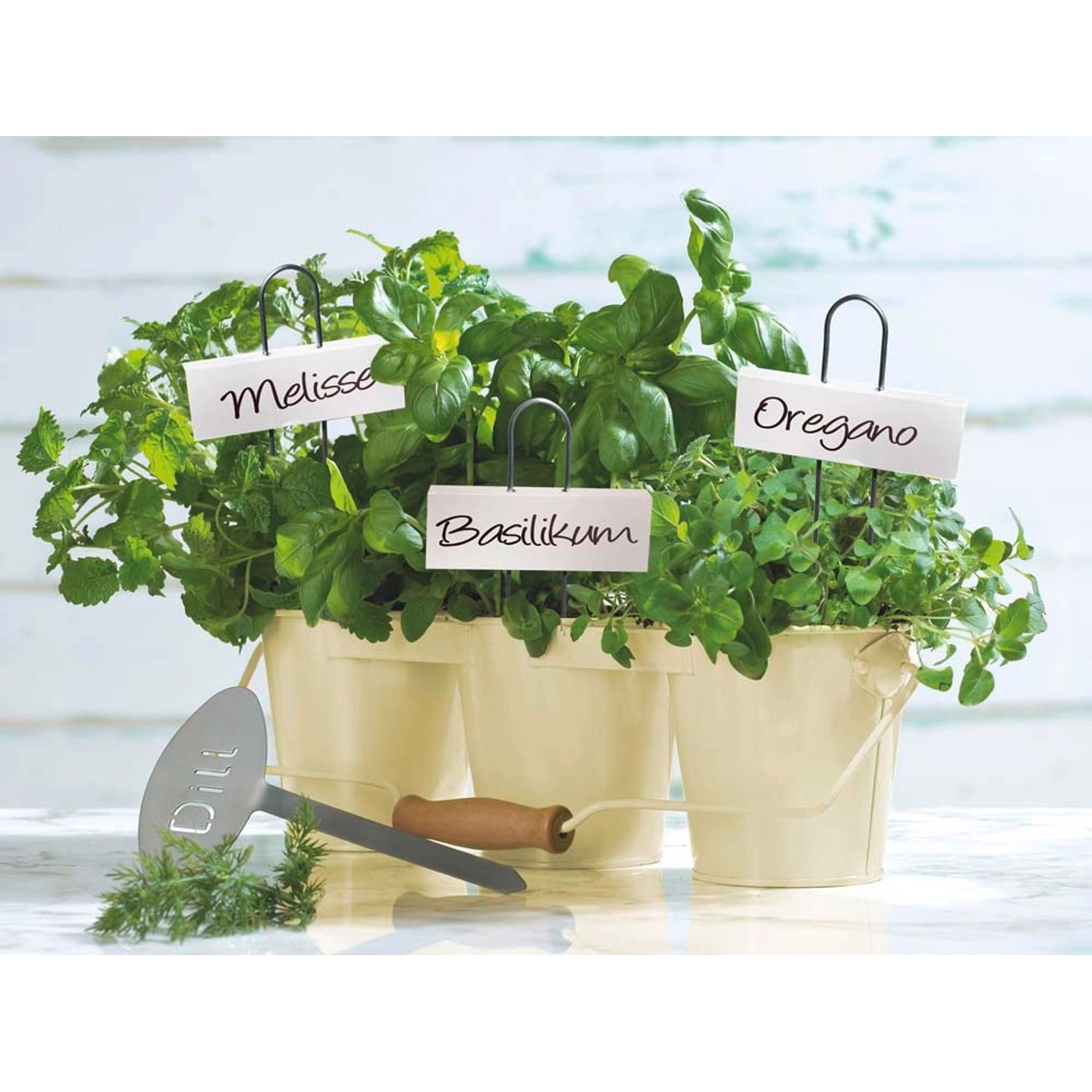 OBI Etykiety do opisu roślin białe 5 sztuk