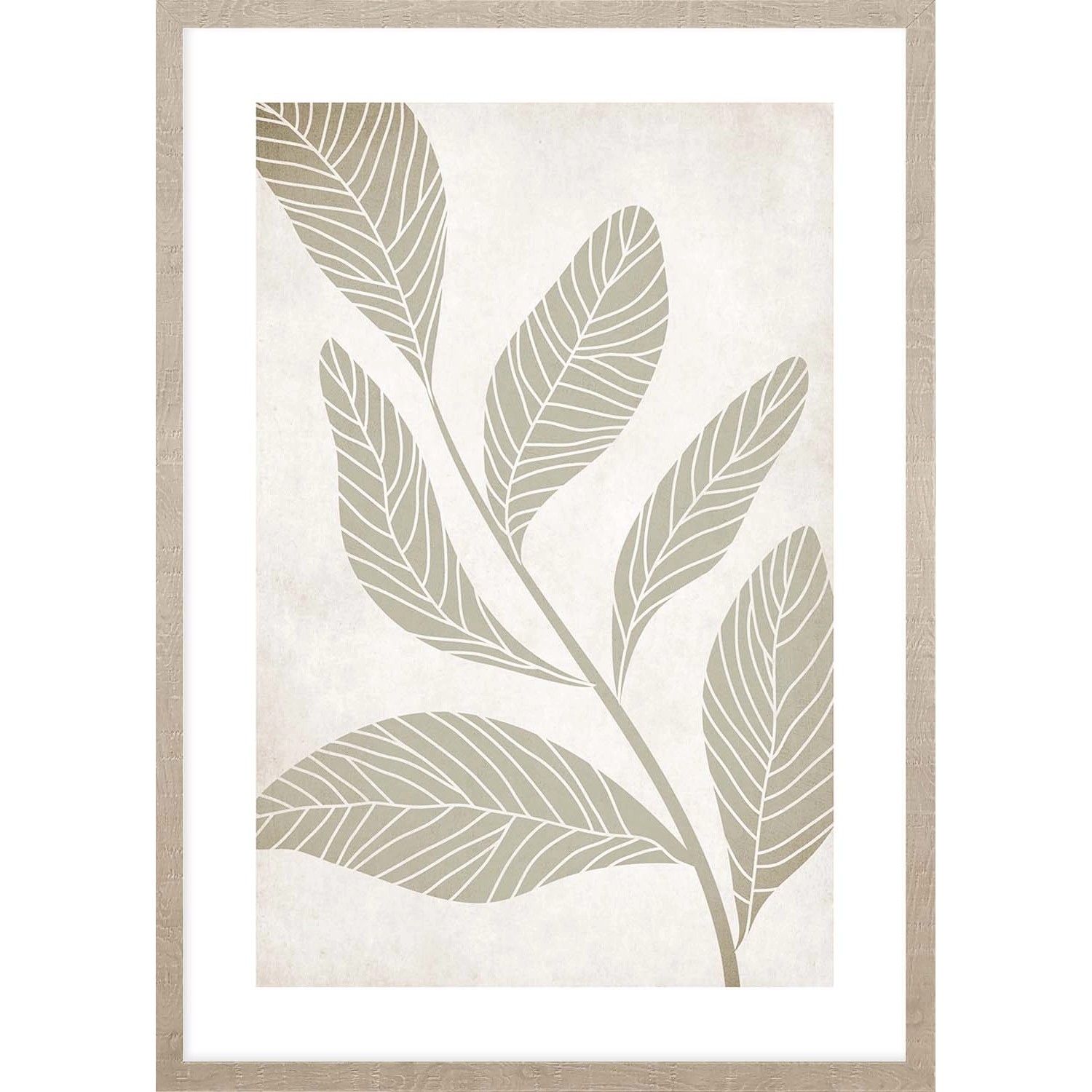 ARS LONGA Obraz PASTEL GREEN PLANT 53 x 73 cm