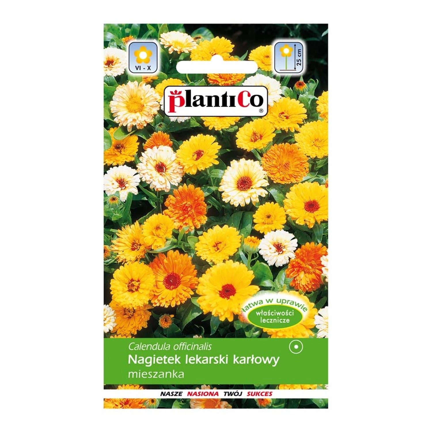 Nagietek lekarski niski mix