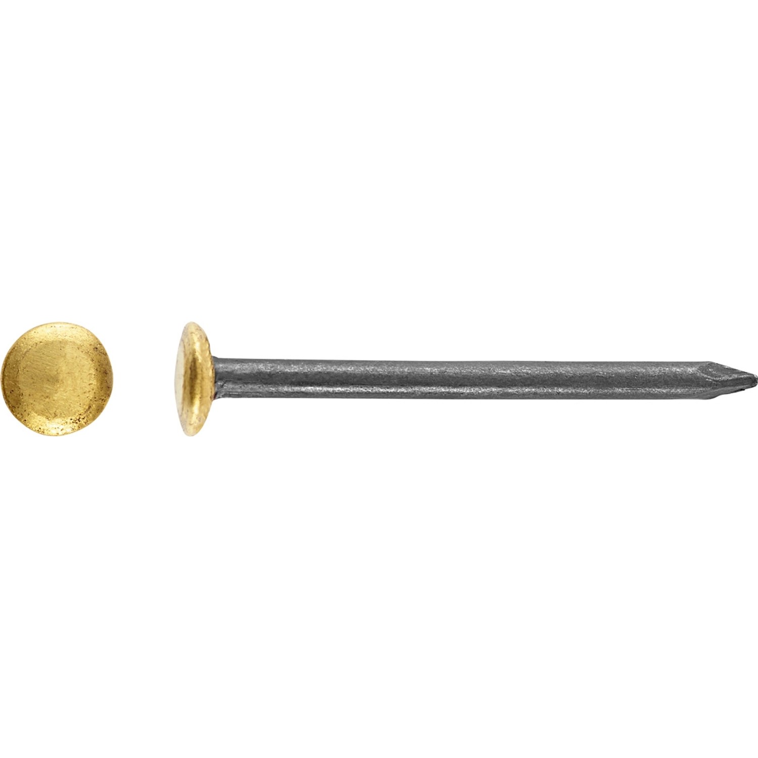 LUX Gwóźdź stalowy z podniesioną główką pokrytą mosiądzem Ø 2 mm x 20 mm mosiądz