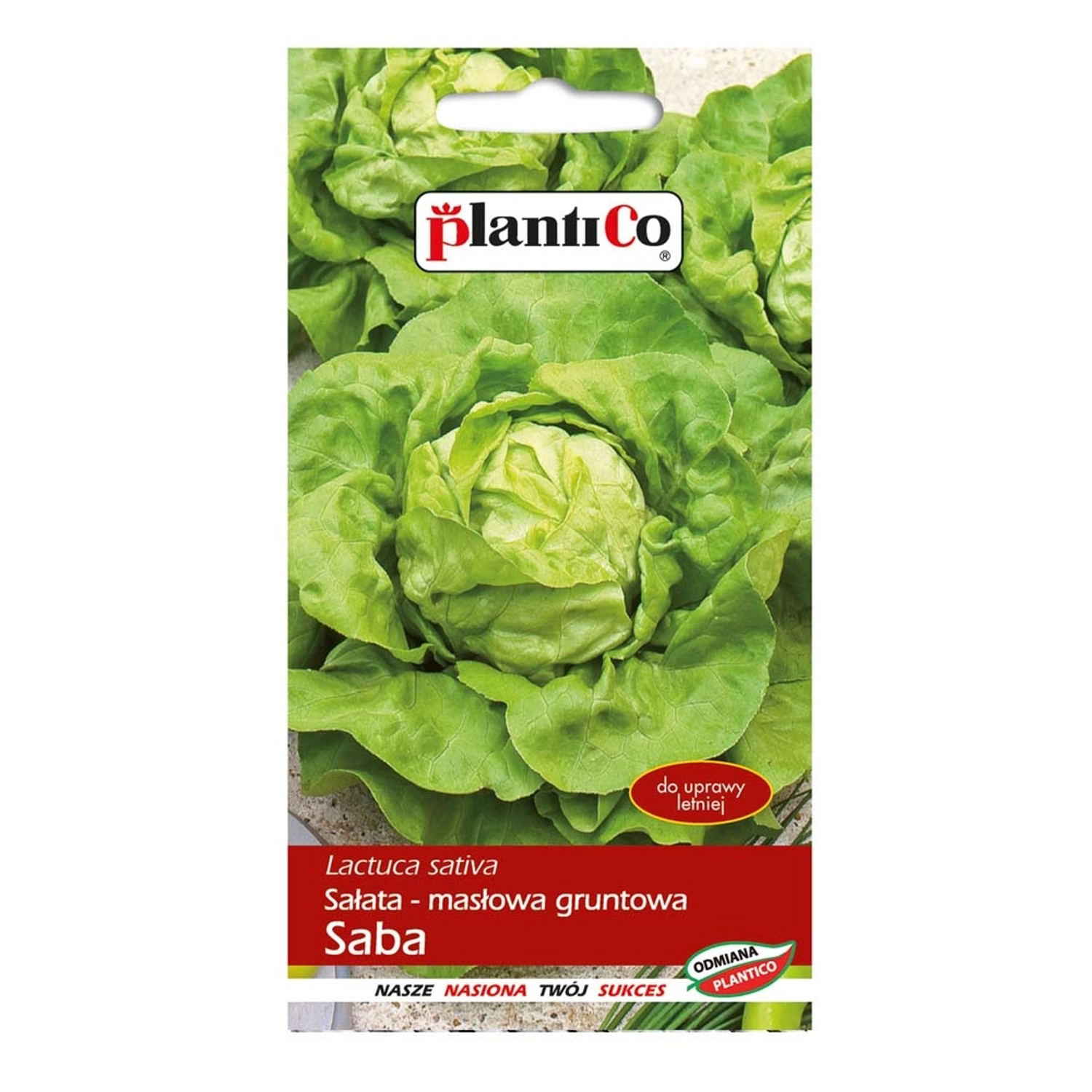 Sałata masłowa Saba - 1 g