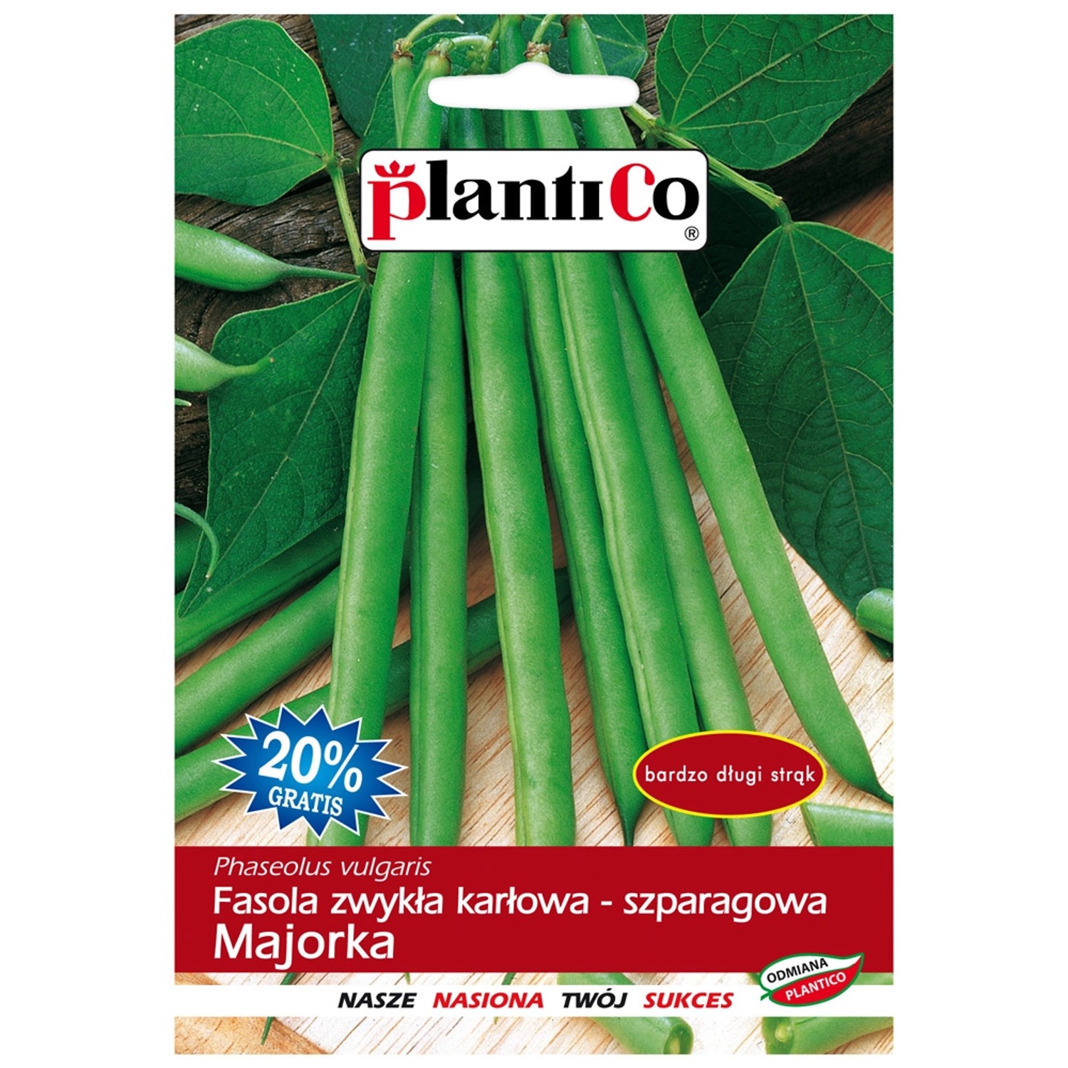 Fasola szparagowa karłowa Majorka