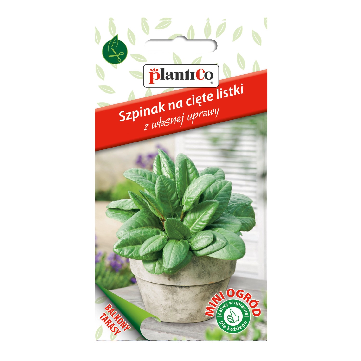 Szpinak Mini Ogród