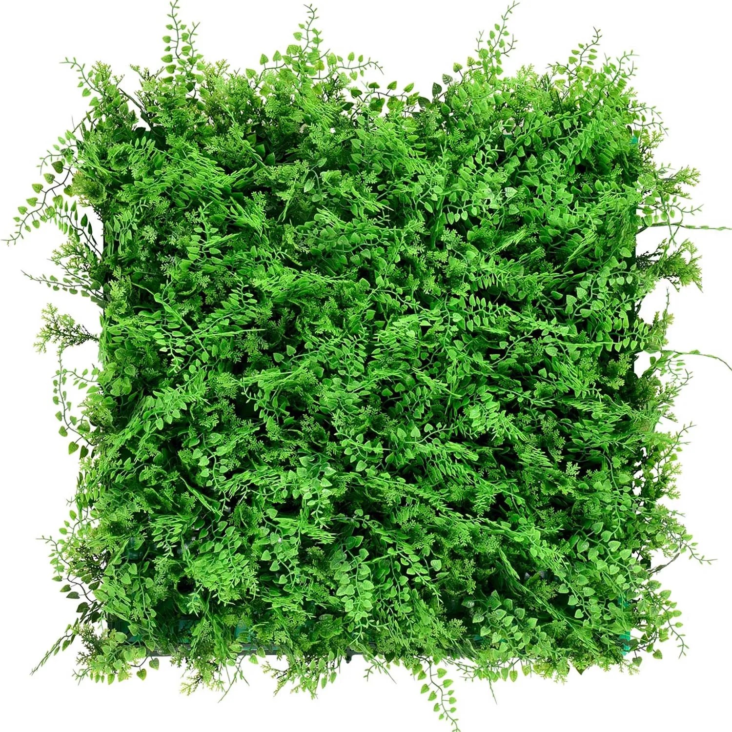 Panel Zielona ściana paproć 50 x 50 cm