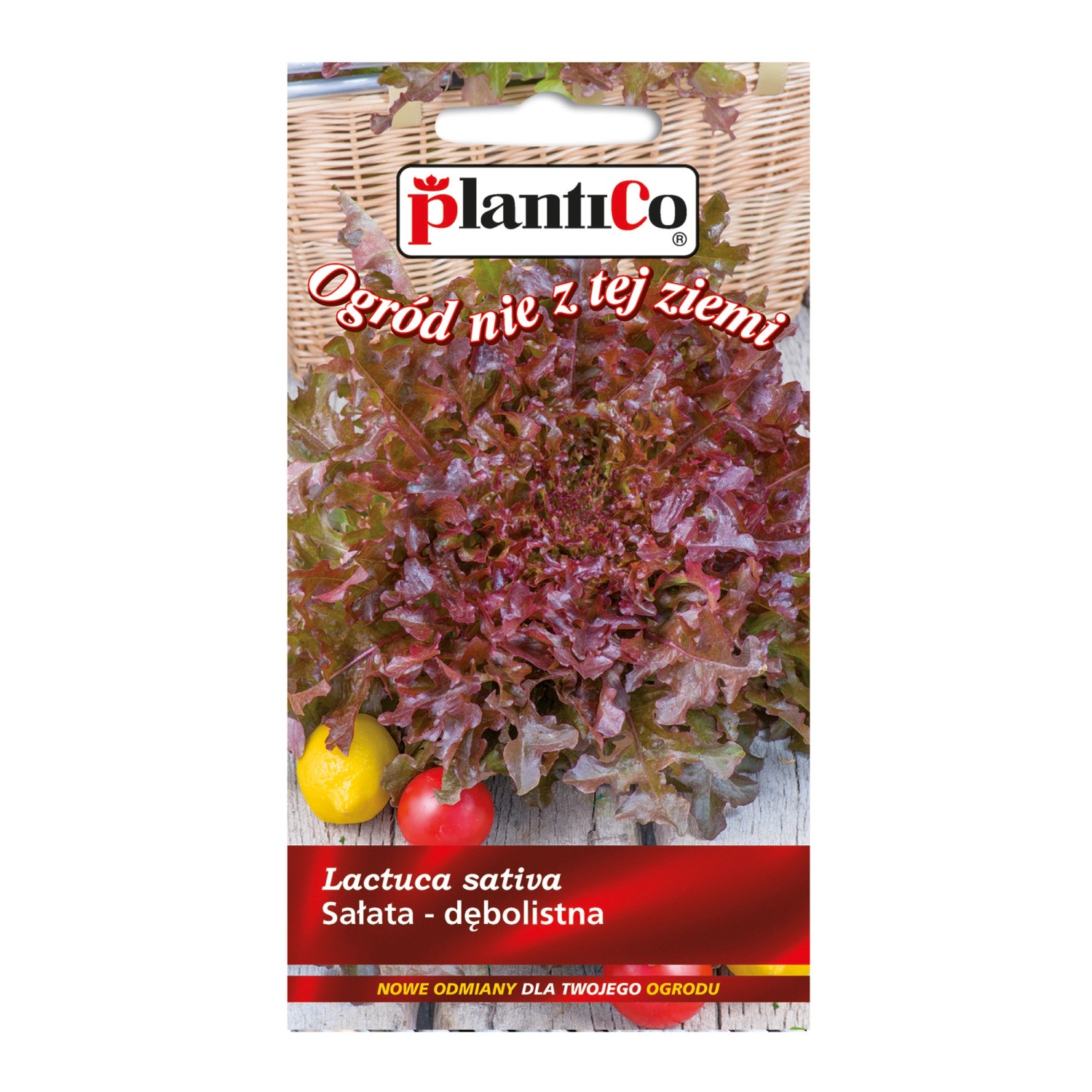 Sałata dębolistna czerwona - 0,5 g