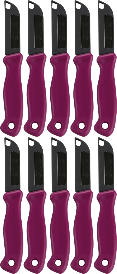 10x Nożyk kuchenny Formson Solingen mały, 15.5x2.5cm, mix kolorów