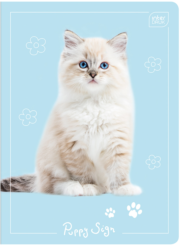 Zeszyt w kratkę Interdruk UV Puppy Sign, A5, 16 kartek, mix wzorów