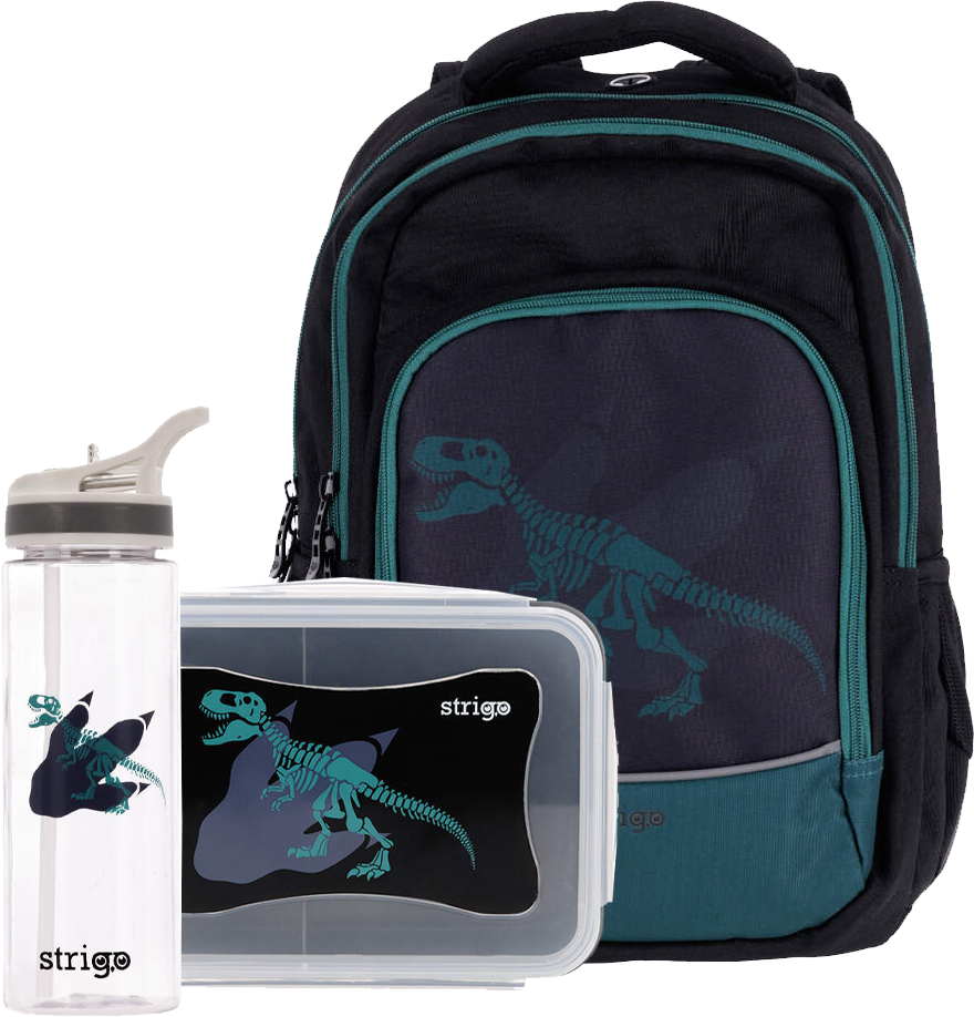Zestaw: Plecak szkolny + Lunchbox + Bidon Strigo Dinozaur