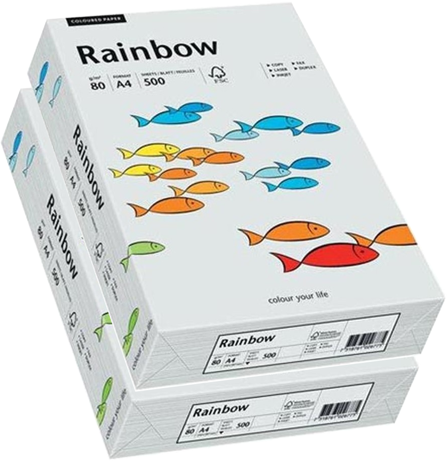 2x Papier ksero ekologiczny Rainbow, A4, 80g/m2, 500 arkuszy, jasny szary (R93)