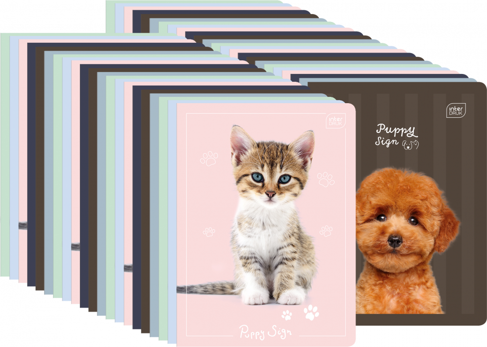100x Zeszyt w wąskie kolorowe linie Interdruk UV Puppy Sign, A5, 16 kartek, mix wzorów