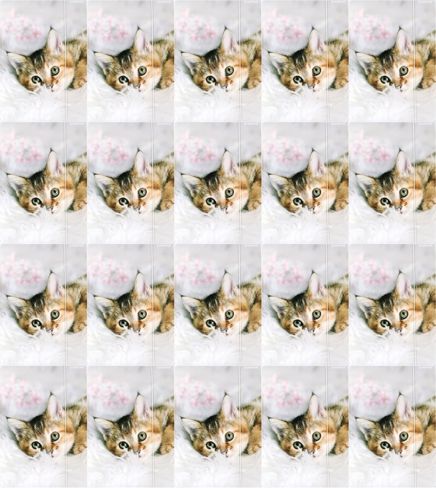 20x Teczka z gumką Starpak Kotki, A4, mix wzorów