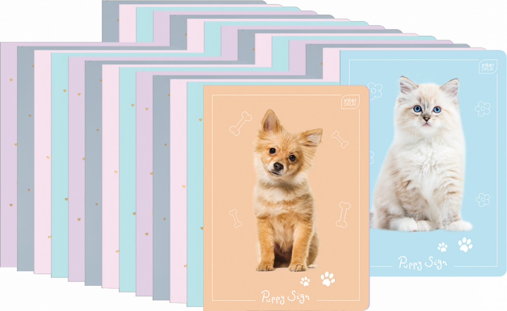 60x Zeszyt w kratkę Interdruk UV Puppy Sign, A5, 16 kartek, mix wzorów
